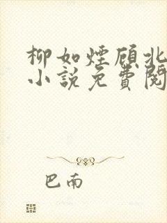 柳如烟顾北辰的小说免费阅读