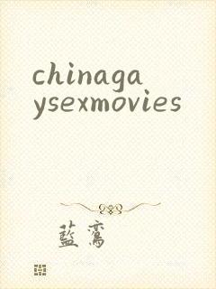 chinagaysexmovies封面