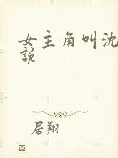 女主角叫沈芙小说