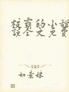 校霸的小甜甜小说全文免费阅读