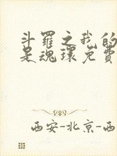 斗罗之我的武魂是魂环免费