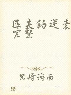 匹夫的逆袭小说完整