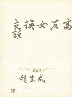 交换女友高h小说
