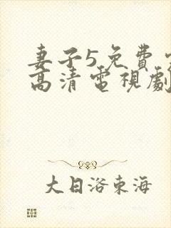 妻子5免费完整高清电视剧在线看中文
