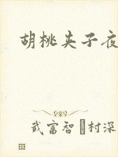 胡桃夹子夜未眠