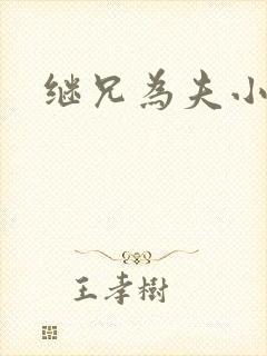 继兄为夫小说