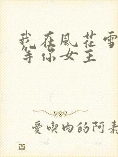 我在风花雪月里等你女主