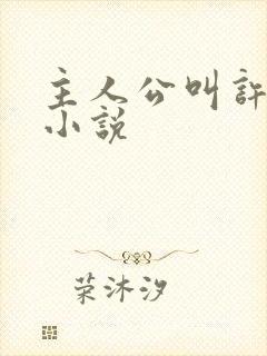 主人公叫许默的小说