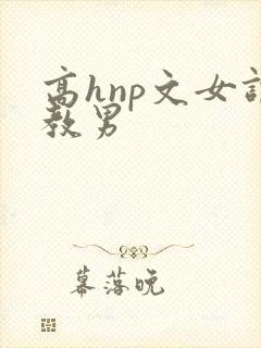 高hnp文女调教男
