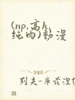 (np,高h,纯肉)动漫