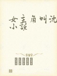 女主角叫沈o的小说