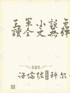 王军小说免费阅读全文无弹窗