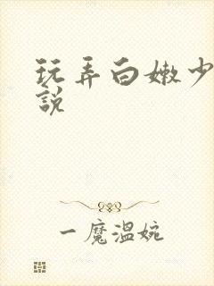 玩弄白嫩少妇小说