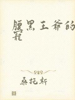 腹黑王爷的心尖宠封面