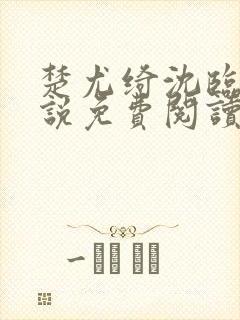 楚尤绮沈临砚小说免费阅读最新章节封面