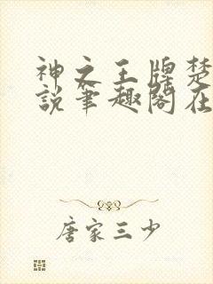 神之王牌楚尘小说笔趣阁在线阅读