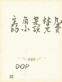 主角是林凡叶惜的小说免费阅读封面