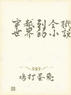 穿越到全职法师世界的小说