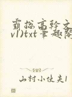 霸总高干文(1v1)txt笔趣阁