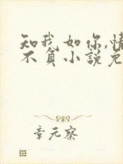 知我如你,情深不负小说免费阅读封面