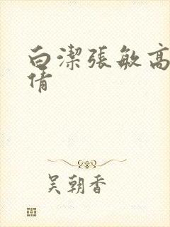 白洁张敏高义孙倩封面