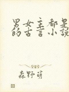 男女主都是将军的古言小说