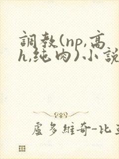 调教(np,高h,纯肉)小说