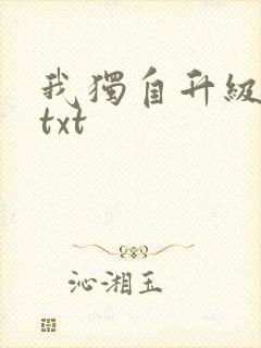 我独自升级原著txt