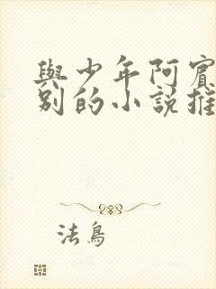 与少年阿宾同级别的小说推荐