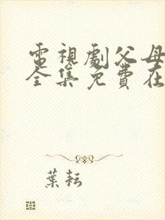 电视剧父母爱情全集免费在线观看