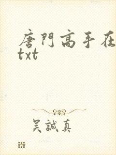 唐门高手在异世txt