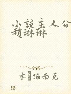 小说主人公陈凡赵琳琳
