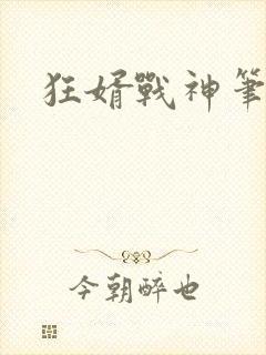 狂婿战神笔趣阁