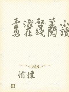 青涩启蒙小说张勇在线阅读全文