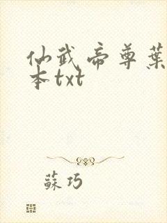 仙武帝尊叶辰全本txt