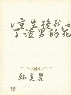 v重生后我嫁给了渣男的死对头