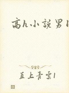 高h小说男同