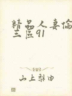 精品人妻伦一二三区91