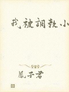 我被调教小说