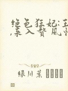 绝色狂妃:王爷,来入赘 风情万种封面