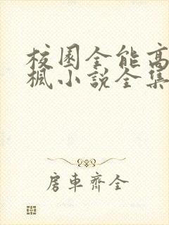 校园全能高手季枫小说全集完整版txt