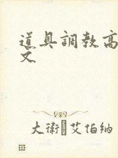 道具调教高h污文封面