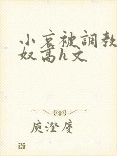 小哀被调教成肉奴高h文