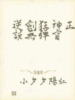逆剑狂神正版小说无弹窗