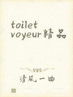 toilet voyeur精品封面