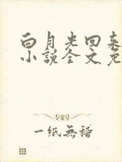 白月光回来以后小说全文免费阅读