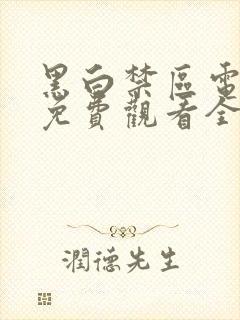 黑白禁区电视剧免费观看全集高清