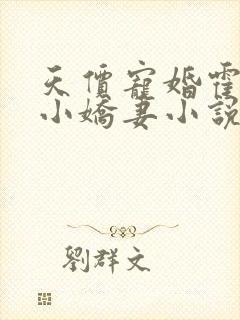 天价宠婚霍总的小娇妻小说全文免费阅读封面