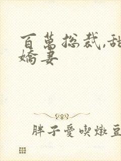 百万总裁,甜宠娇妻封面