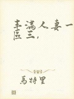 丰满人妻一区二区三,